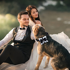 Черные полиэстеровые бархатные подушечки для колец с бантом и прочным поводком для собак из нейлона&nbsp;HJEW-DR00255