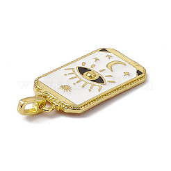 Подвески из эмали и сплава&nbsp;X-ENAM-D042-01H