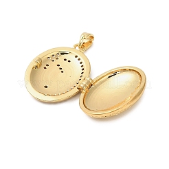 Латунные подвески с микропаве из прозрачного кубического циркония&nbsp;LS-KK-P329-03G