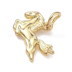 Латунные талисманы для лошадей&nbsp;KK-K368-58G