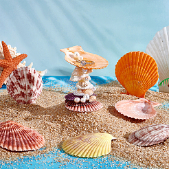 40 шт. натуральная ракушка для украшения аквариума&nbsp;SHEL-PH0001-69A