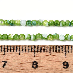 Нити бусин из окрашенных натуральных ракушек трохид/трохус&nbsp;SSHEL-T017-13C