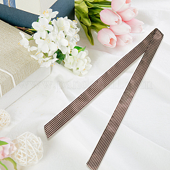 Ремни из полиэстера в полоску&nbsp;AJEW-WH20072-59B