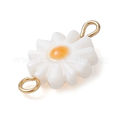 Подвески из натуральной пресноводной раковины&nbsp;PALLOY-JF02443