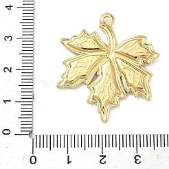 Подвески из нержавеющей стали 304 с эмалью&nbsp;STAS-G371-14G-01