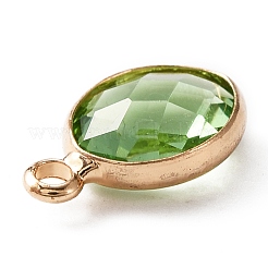 Граненые подвески стекла&nbsp;LS-KK-WH0046-59G-08