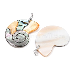 Подвески из натуральных ракушек пауа&nbsp;KK-C135-08A