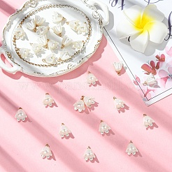 30 шт. подвески из непрозрачной смолы с имитацией жемчуга&nbsp;FIND-YW0009-02