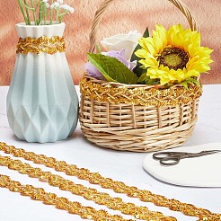 13 м металлизированной плетеной кружевной отделки&nbsp;SRIB-WH0011-062B