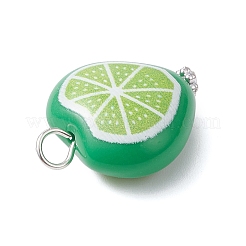 Печатные акриловые подвески&nbsp;PALLOY-JF04691