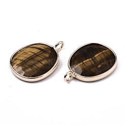 Природных тигровый глаз подвески&nbsp;G-T131-108