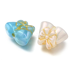 Акриловые бусины&nbsp;OACR-R002-02A