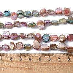 Ожерелья из ракушек в стиле бохо&nbsp;NJEW-C072-02B