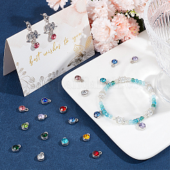 72 шт. 12-х цветные подвески из платинового сплава&nbsp;RGLA-SC0001-05