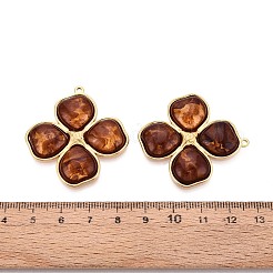 Подвески из нержавеющей стали 304 и смолы&nbsp;STAS-T068-106B-G