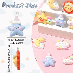 12шт 6 стиля подвески из смолы&nbsp;RESI-YW0002-06