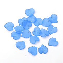 Прозрачные акриловые подвески&nbsp;PL591-5