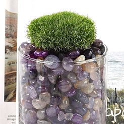 Окрашенные и нагретые натуральные бусины из агата&nbsp;G-J402-04E-07