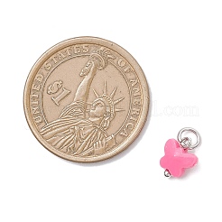 Непрозрачные акриловые подвески&nbsp;PALLOY-JF04506-01