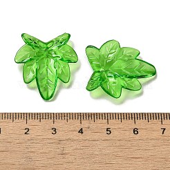 Подвеска акриловая прозрачная&nbsp;OACR-E039-69D