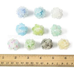 10шт 10 цвета бусины из смолы&nbsp;RESI-FS0002-24A