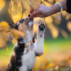 Подвески из нержавеющей стали 304&nbsp;STAS-UN0018-65P