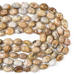 Природные сумасшедший агат бисер нитей&nbsp;G-G453-D03-01