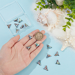 16 шт. подвески в виде хвоста кита из натуральной ракушки пауа&nbsp;SHEL-BC0001-045