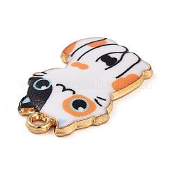 Стойки обшивки сплава эмали подвески&nbsp;FIND-Q099-12G-04