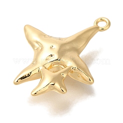 Латунные подвески&nbsp;KK-K389-031G