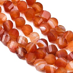 Натуральные полосатые агатовые бусы&nbsp;G-P611-C09-01