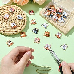 30 шт.&nbsp;FIND-CJ0002-66