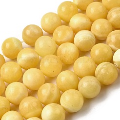 Нити бусин из натурального желтого нефрита&nbsp;G-A274-A01-14mm