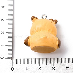 Подвески из непрозрачной смолы&nbsp;LS-RESI-A049-01A