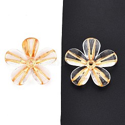 Прозрачные акриловые бусины&nbsp;TACR-T028-18A