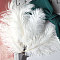 Bleached Ostrich Feather Ornament Accessories, for DIY Photo Props, Backdrop Craft, White, 150~200mm