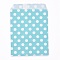 Kraft Paper Bags, No Handles, Food Storage Bags, Polka Dot Pattern, Sky Blue, 18x13cm