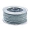 20M Nylon Twisted Round Cord, for Bag Strap Making, Light Sky Blue, 2mm, about 21.87 Yards(20m)/Roll