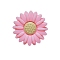 Food Grade Eco-Friendly Silicone Focal Beads, Daisy, Pink, 20x20mm, Hole: 2mm