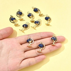 10шт подвески из эмалированного сплава с покрытием из светлого золота&nbsp;ENAM-FS0003-10