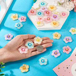 30шт 6 цвета прозрачные кабошоны из смолы&nbsp;RESI-TA0004-45