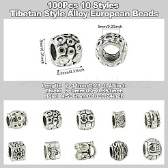 100шт 10 стиля европейские бусины из сплава в тибетском стиле&nbsp;FIND-CJ0003-72