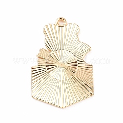 Подвески из эмали и сплава&nbsp;ENAM-M055-02G-02