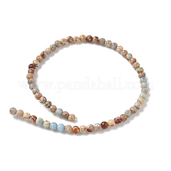 Нити бусин из окрашенного натурального регалита/императорской яшмы/морского осадка яшмы&nbsp;G-B124-C05-04