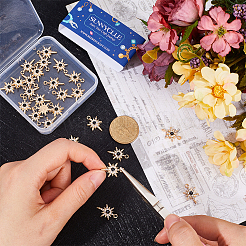 30шт. подвеска из сплава со стразами&nbsp;FIND-SC0011-05