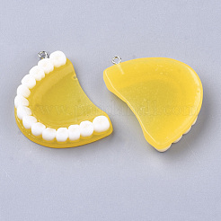 Подвески из смолы&nbsp;X-RESI-T028-14