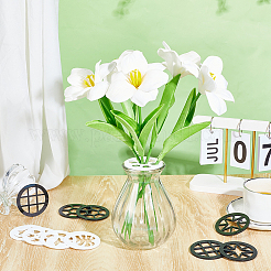 12шт 6 стиля акриловая банка для разведения топовых находок&nbsp;FIND-NB0006-60