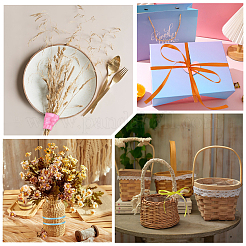 10 рулон 10-х цветной полиэфирной ленты&nbsp;OCOR-CY0002-55