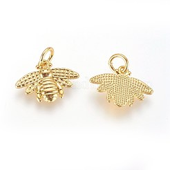 Латунь подвески&nbsp;KK-G364-10G