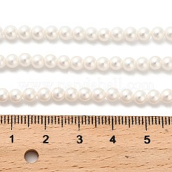 Нити круглых бусин из ракушки с покрытием цвета ab&nbsp;LS-BSHE-XCP0001-31